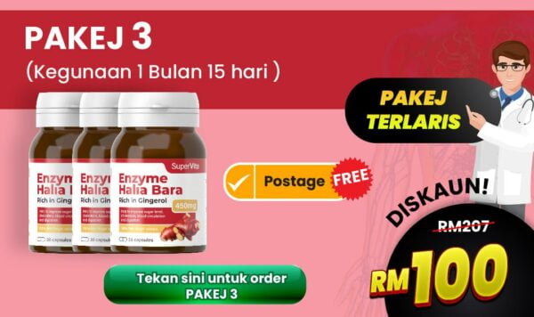 Pakej 3 Halia Bara